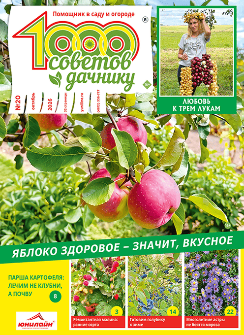 1000 советов дачнику